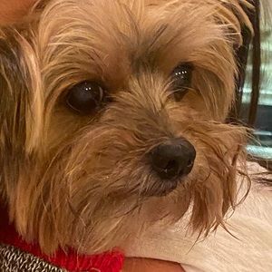 Meet your Posher, Faith